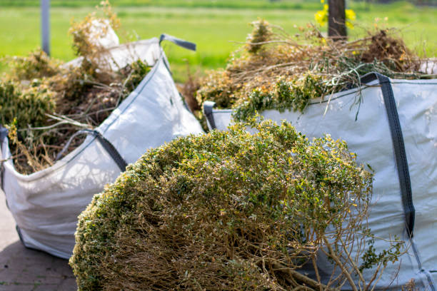 Best Yard Cleanup Services  in Hawthorne, CA